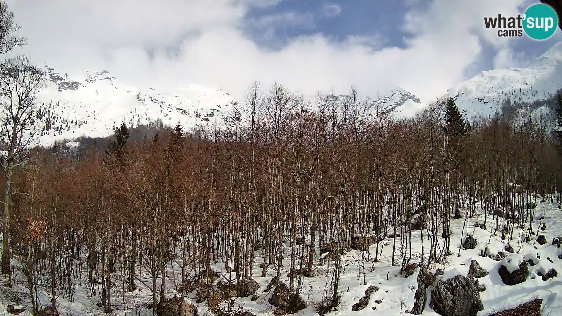 Livecam PLANINA RAZOR (1315) | vue sur Vogel et Globoko