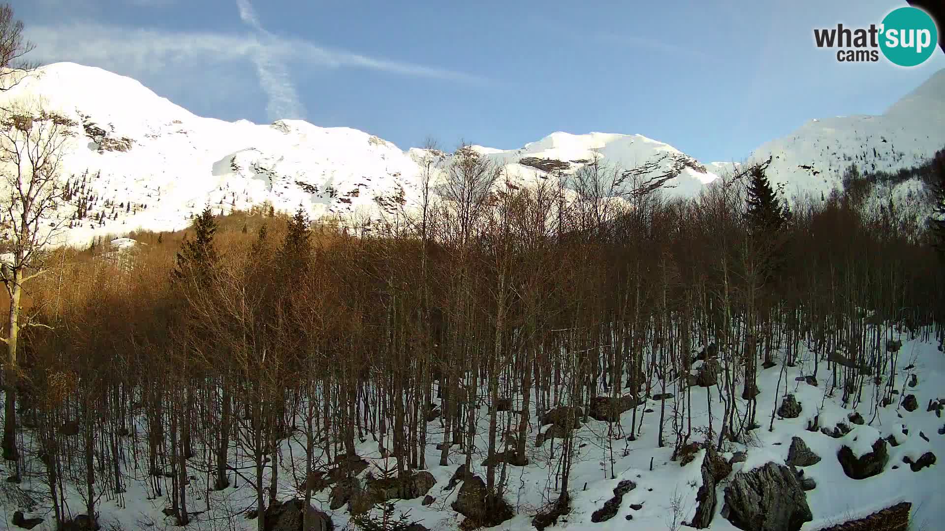 PLANINA RAZOR Live Cam (1315) | vista su Vogel e Globoko