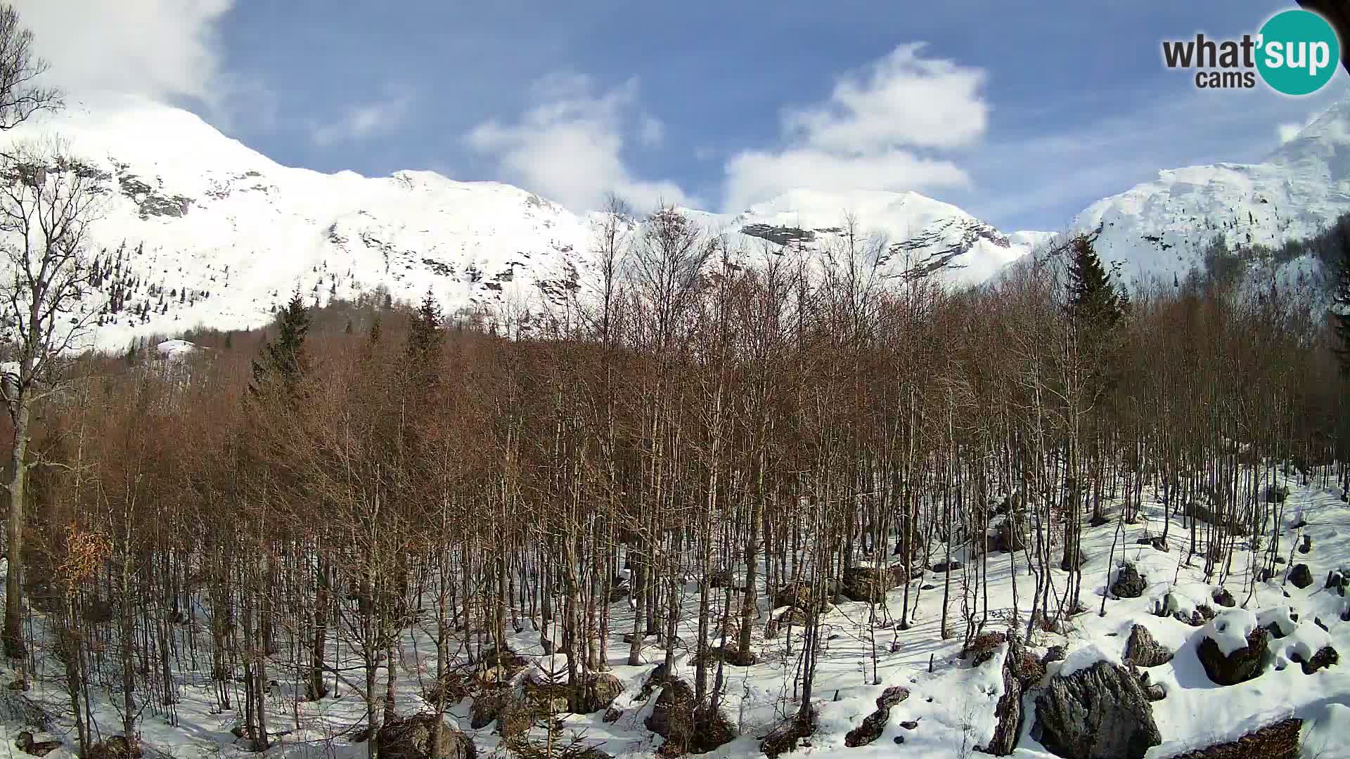 Cámara web PLANINA RAZOR (1315) | vista a Vogel y Globoko