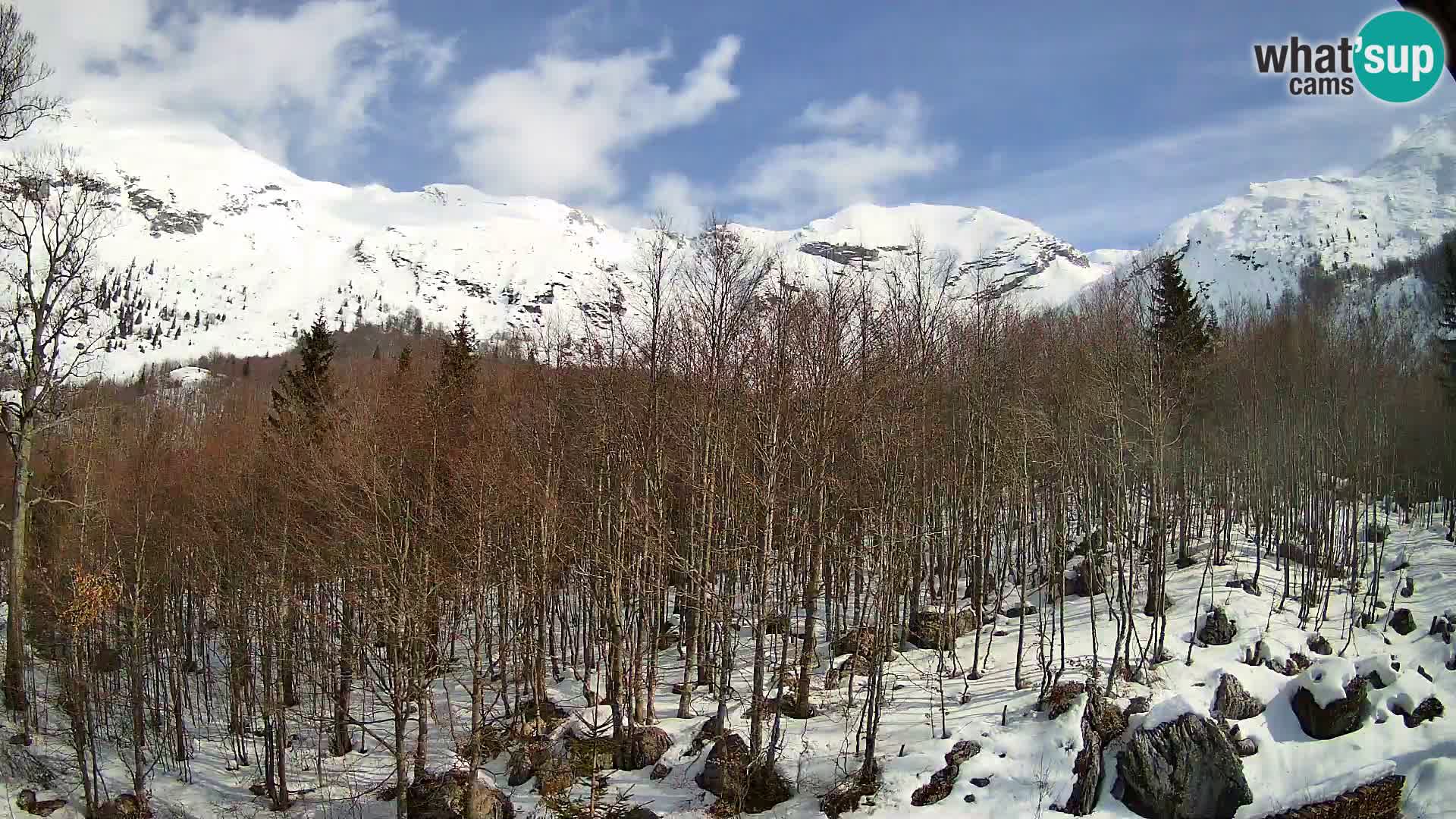 Cámara web PLANINA RAZOR (1315) | vista a Vogel y Globoko