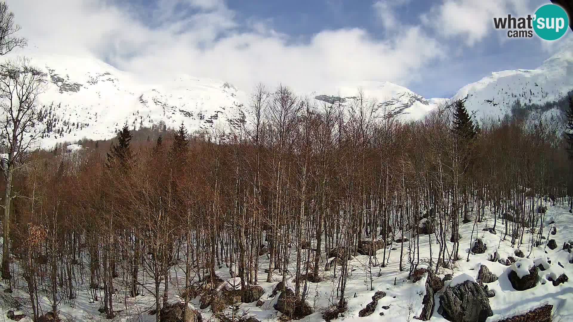 PLANINA RAZOR webcam (1315) | view to Vogel and Globoko