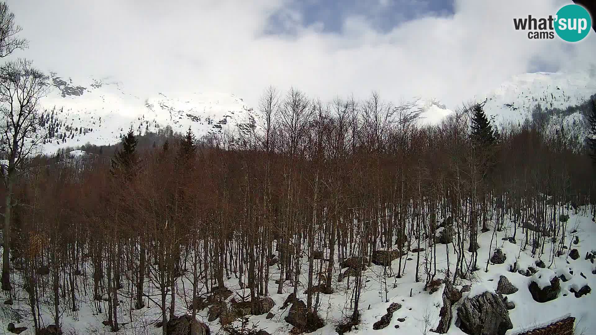 PLANINA RAZOR web kamera (1315) | pogled na Vogel i Globoko