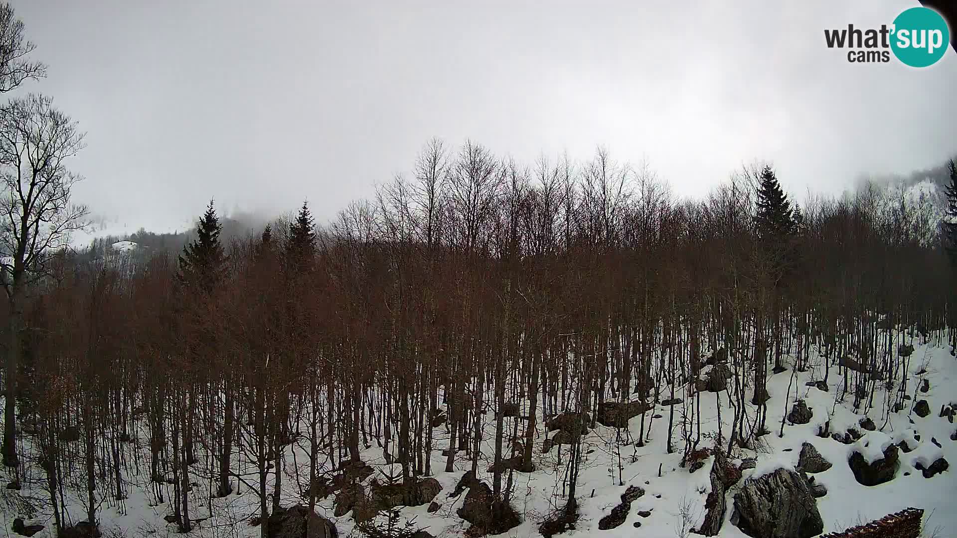 PLANINA RAZOR web kamera (1315) | pogled na Vogel i Globoko