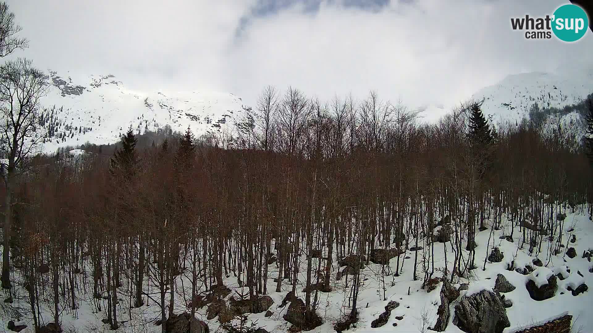Livecam PLANINA RAZOR (1315) | vue sur Vogel et Globoko