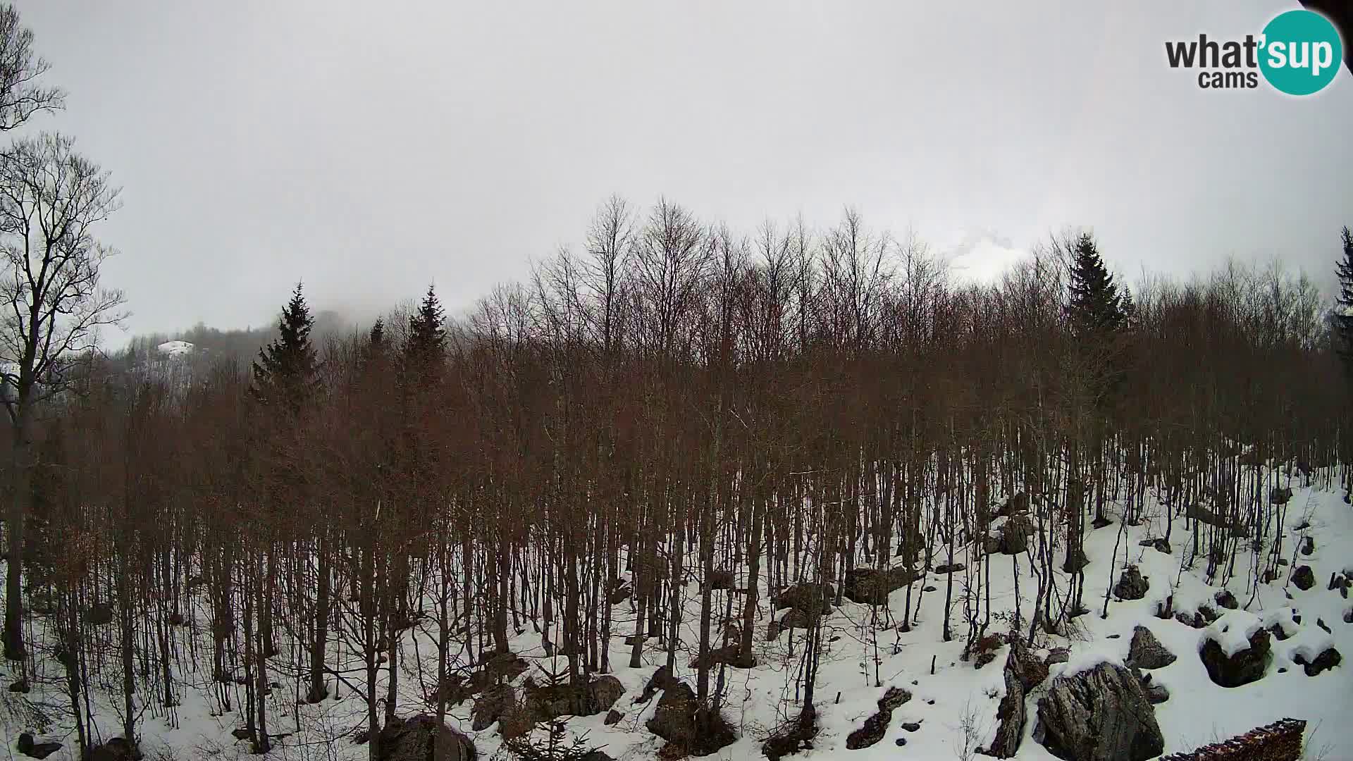 Livecam PLANINA RAZOR (1315) | vue sur Vogel et Globoko