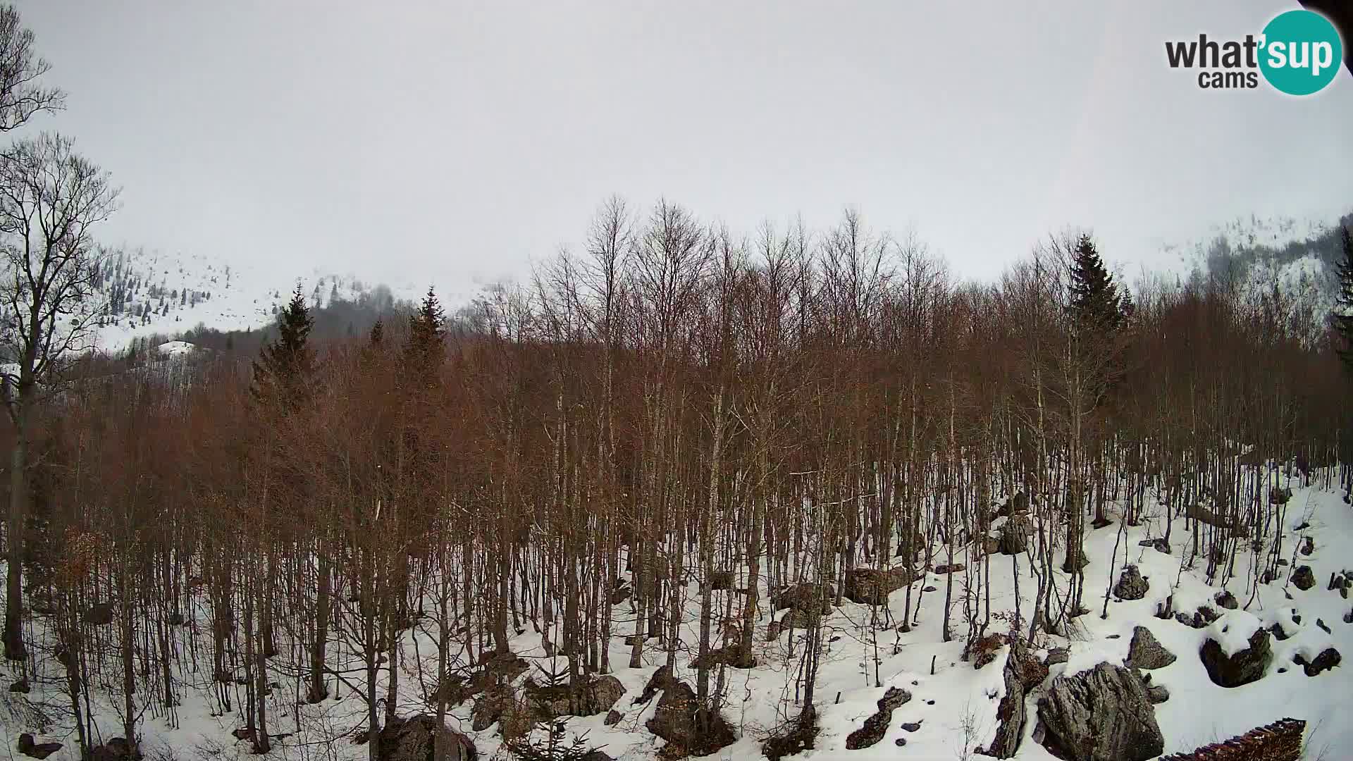 PLANINA RAZOR webcam (1315) | view to Vogel and Globoko