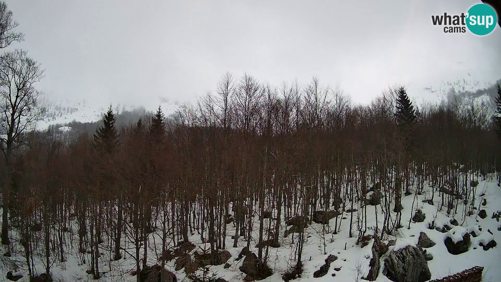 PLANINA RAZOR web kamera (1315) | pogled na Vogel i Globoko