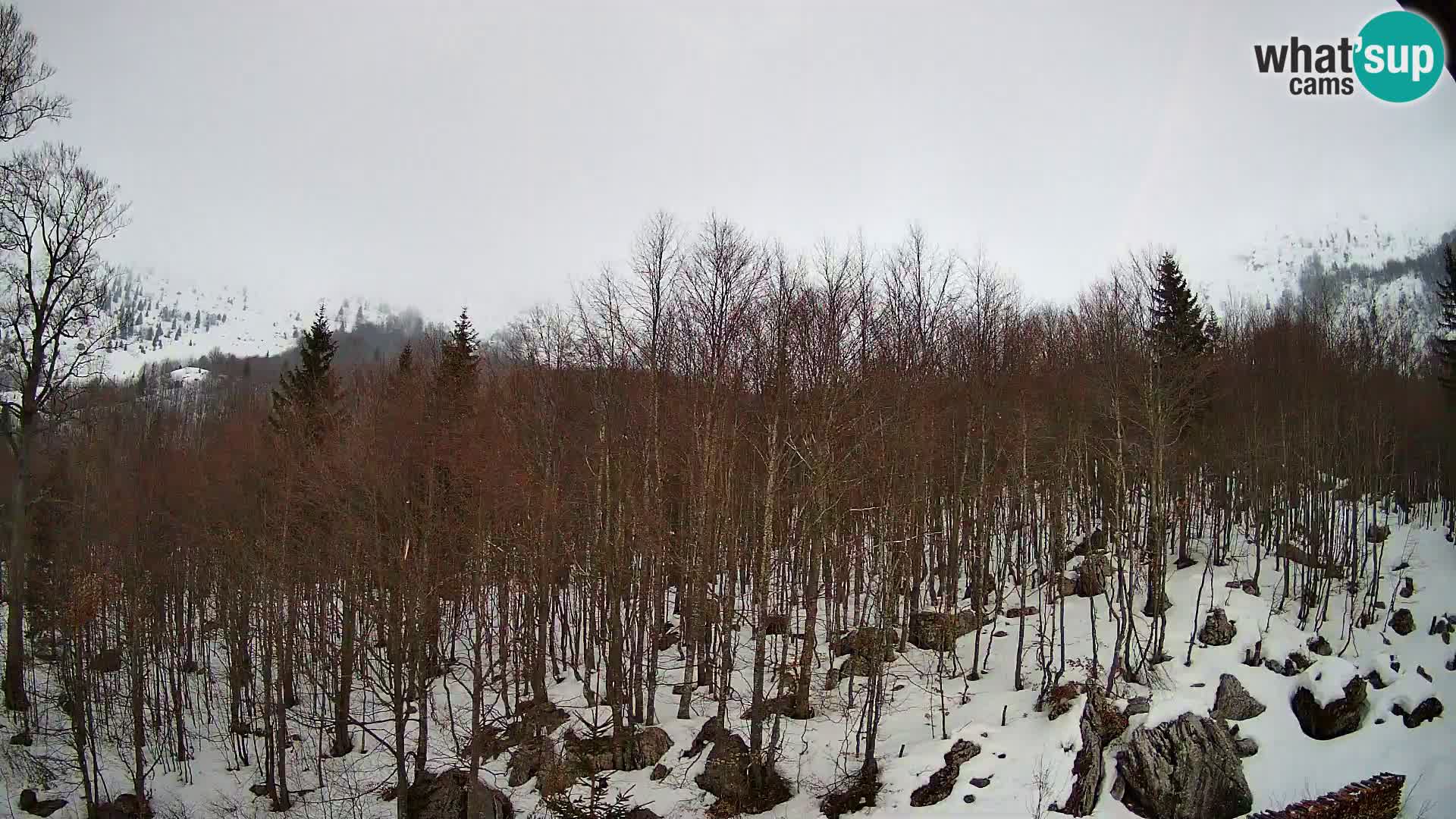 PLANINA RAZOR webcam (1315) | view to Vogel and Globoko