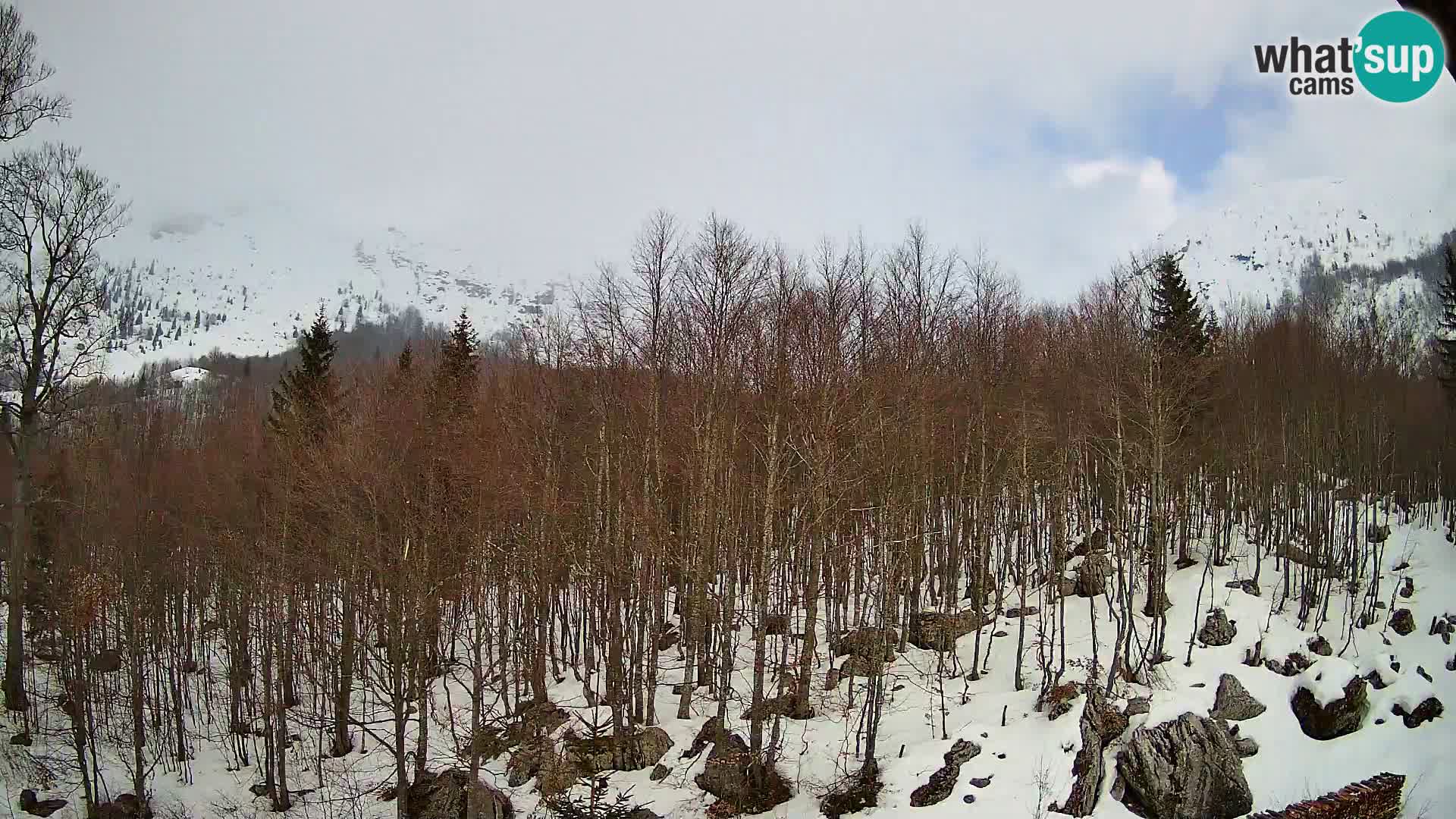 PLANINA RAZOR web kamera (1315) | pogled na Vogel i Globoko