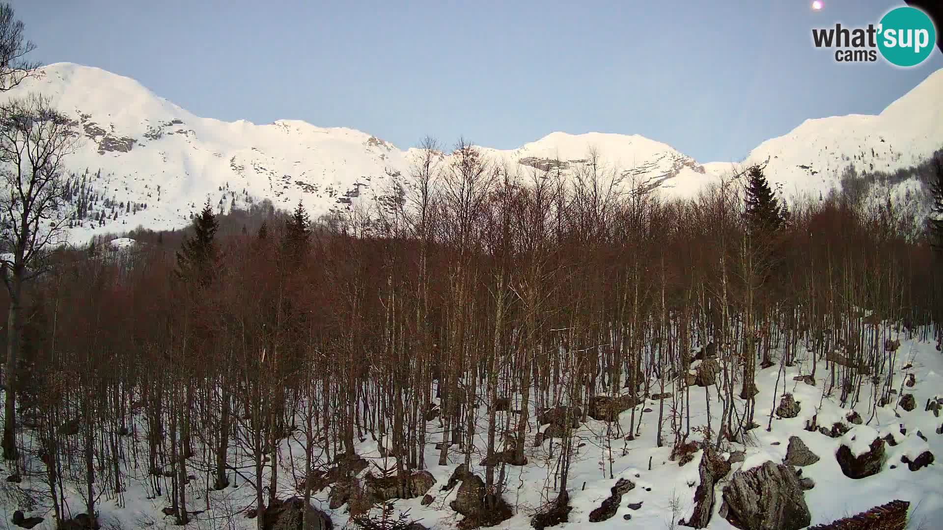 Webcam PLANINA RAZOR (1315) | Blick auf Vogel und Globoko
