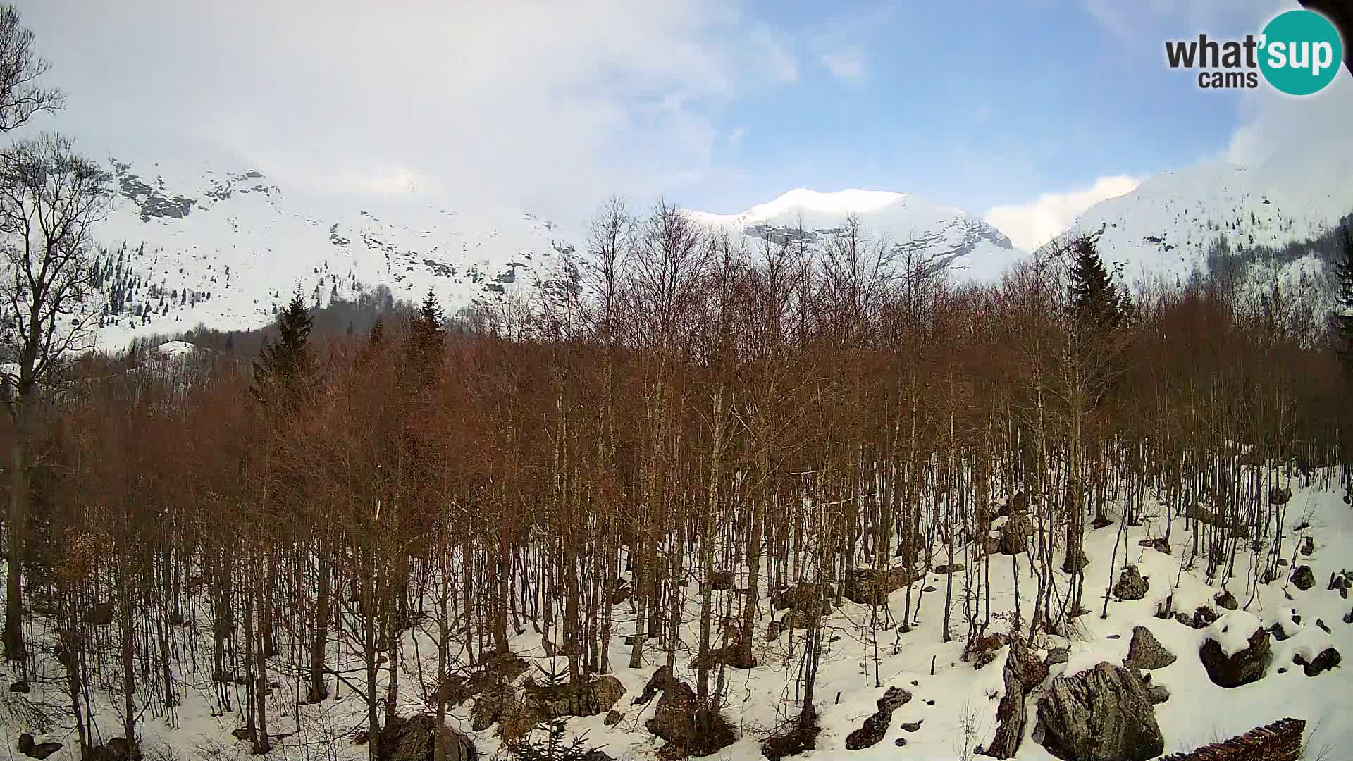 PLANINA RAZOR kamera (1315) | pogled na Vogel in Globoko