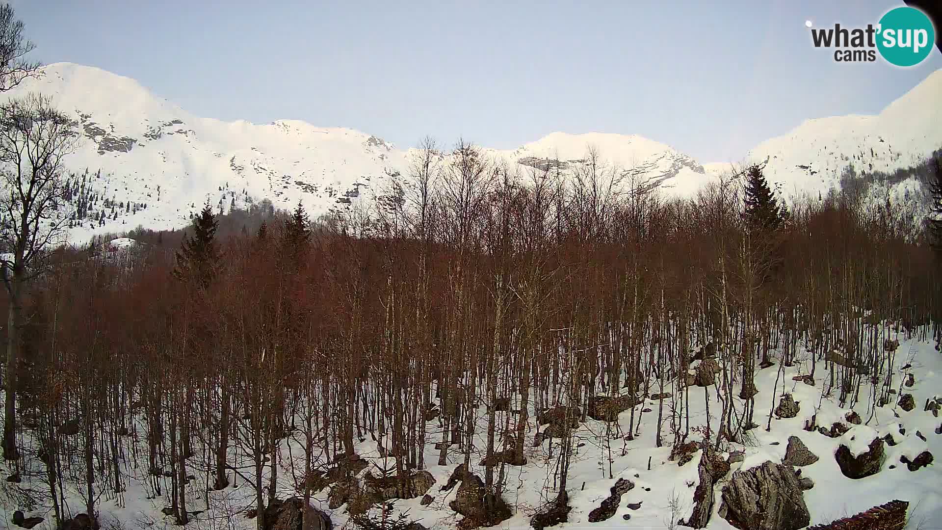 PLANINA RAZOR webcam (1315) | view to Vogel and Globoko
