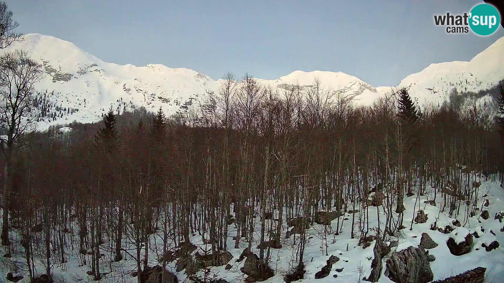 Cámara web PLANINA RAZOR (1315) | vista a Vogel y Globoko