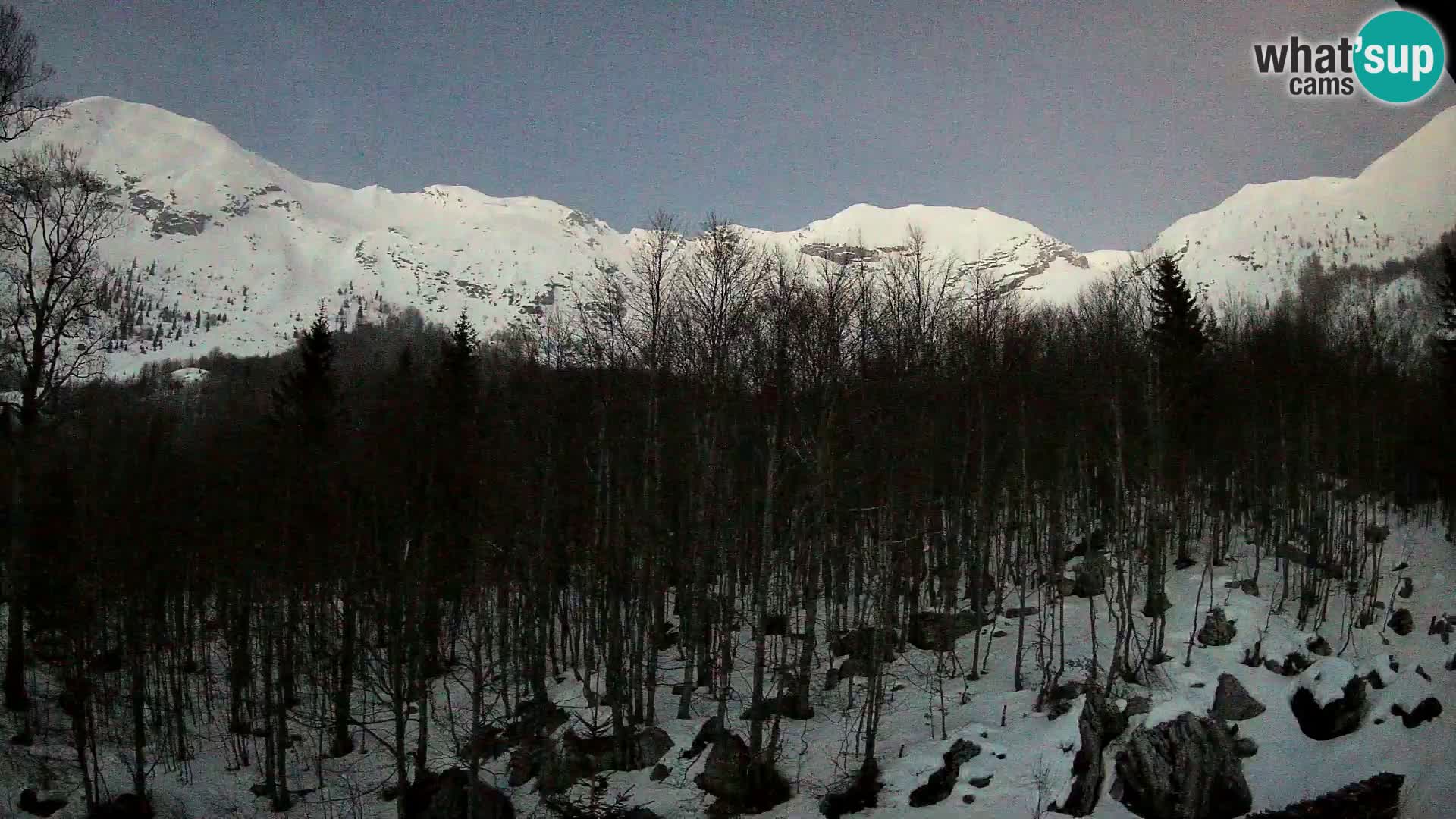 PLANINA RAZOR webcam (1315) | view to Vogel and Globoko