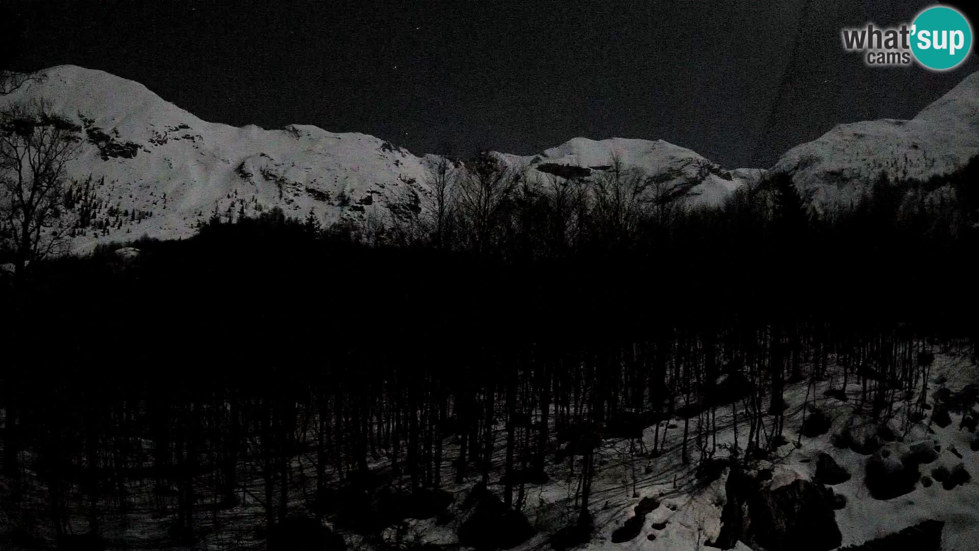 PLANINA RAZOR web kamera (1315) | pogled na Vogel i Globoko