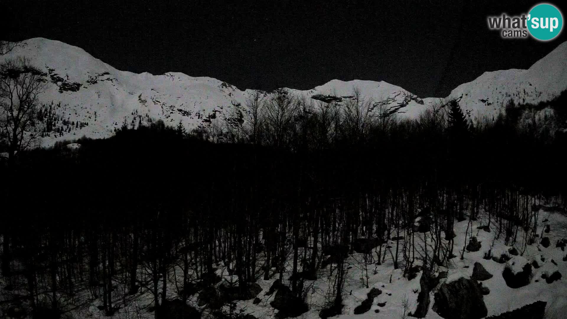 PLANINA RAZOR webcam (1315) | view to Vogel and Globoko