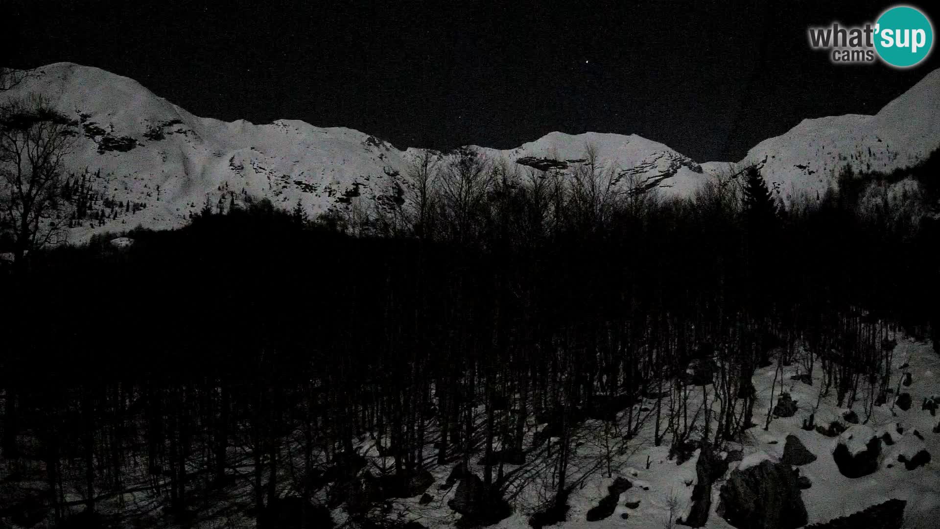 Livecam PLANINA RAZOR (1315) | vue sur Vogel et Globoko