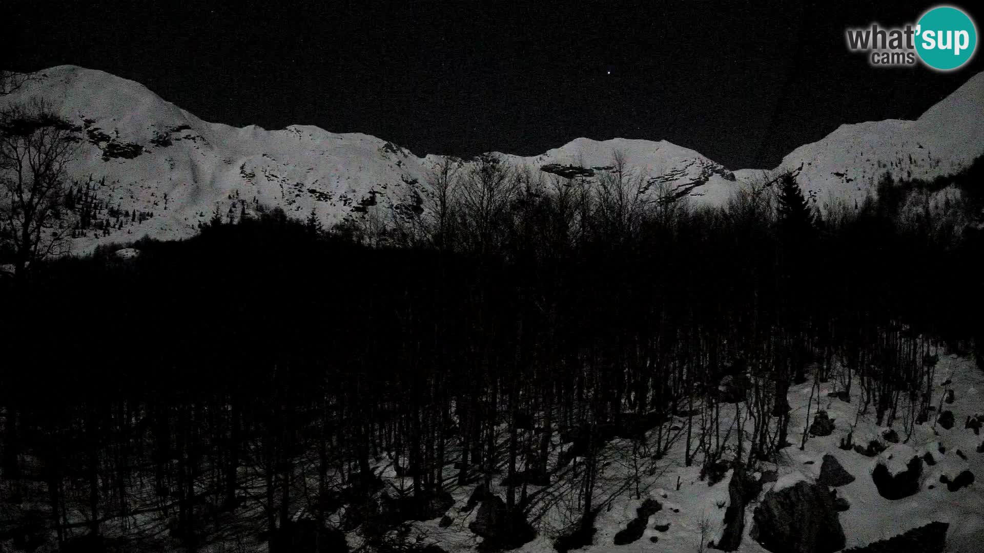 Livecam PLANINA RAZOR (1315) | vue sur Vogel et Globoko