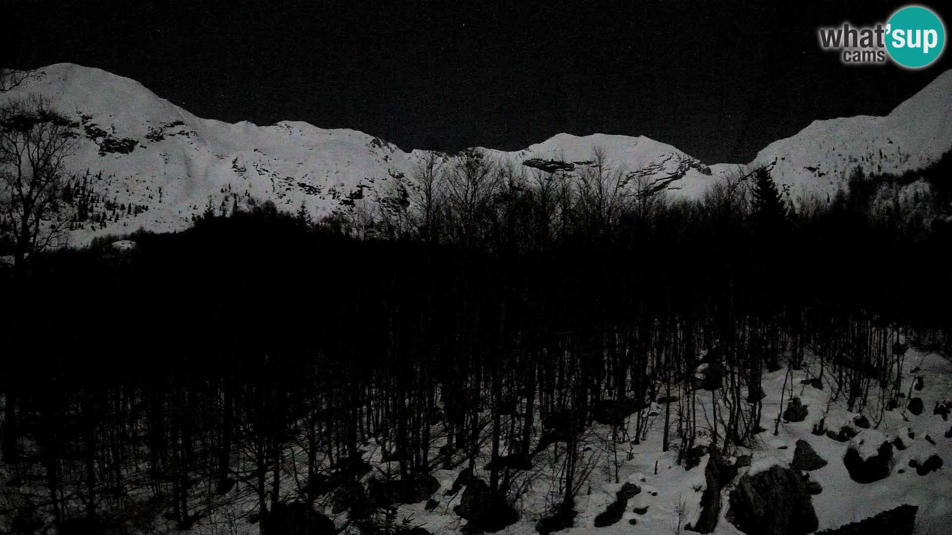 PLANINA RAZOR webcam (1315) | view to Vogel and Globoko