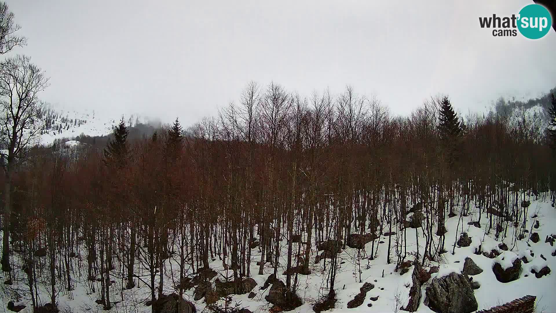 PLANINA RAZOR Live Cam (1315) | vista su Vogel e Globoko