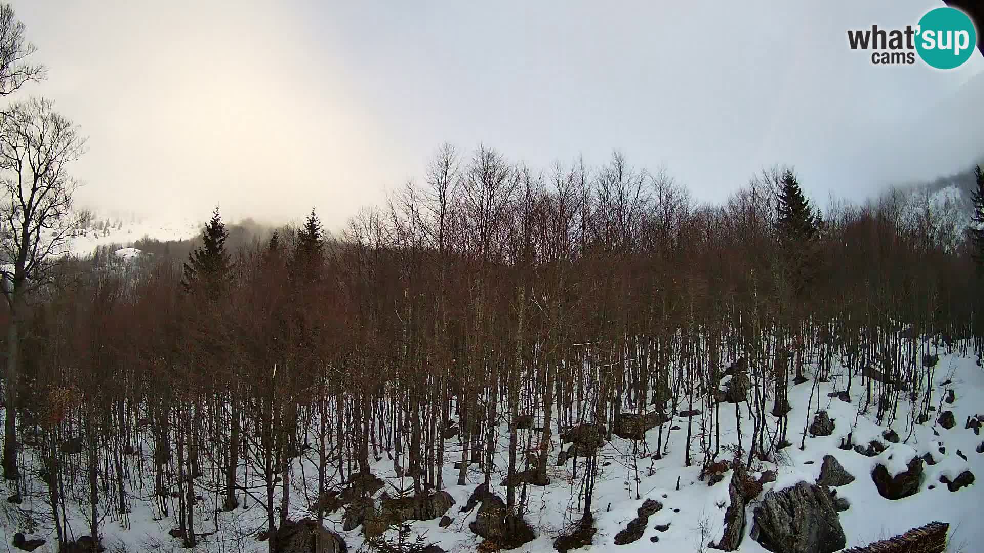 PLANINA RAZOR Live Cam (1315) | vista su Vogel e Globoko