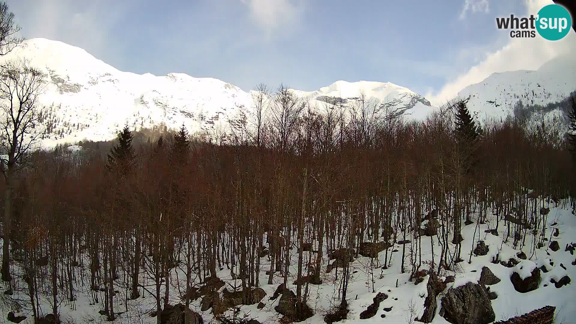 Cámara web PLANINA RAZOR (1315) | vista a Vogel y Globoko