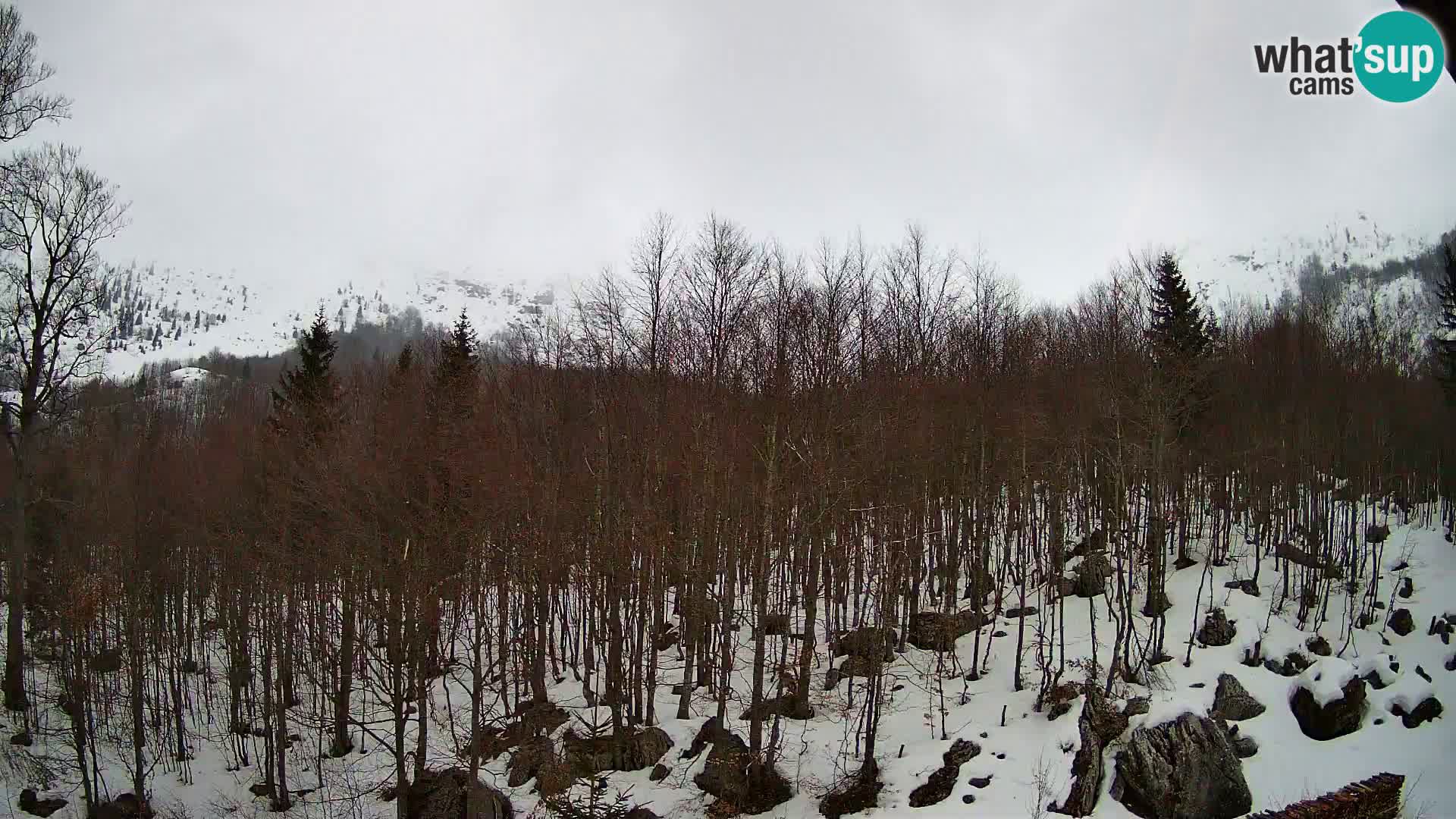 Cámara web PLANINA RAZOR (1315) | vista a Vogel y Globoko