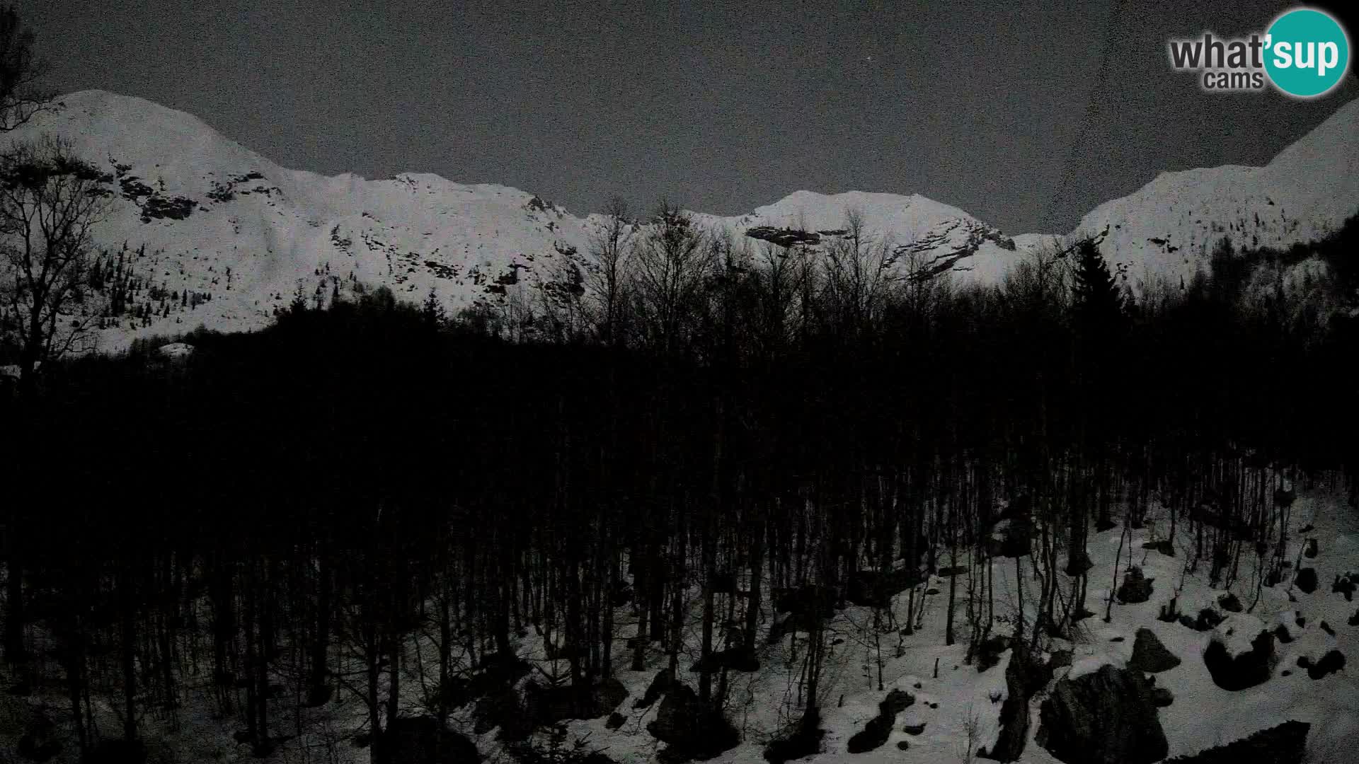 Cámara web PLANINA RAZOR (1315) | vista a Vogel y Globoko