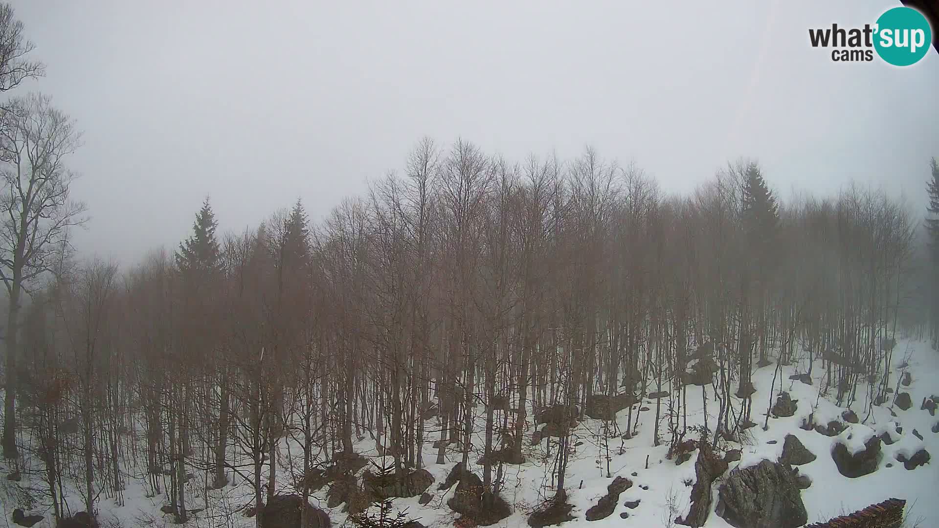 PLANINA RAZOR webcam (1315) | view to Vogel and Globoko