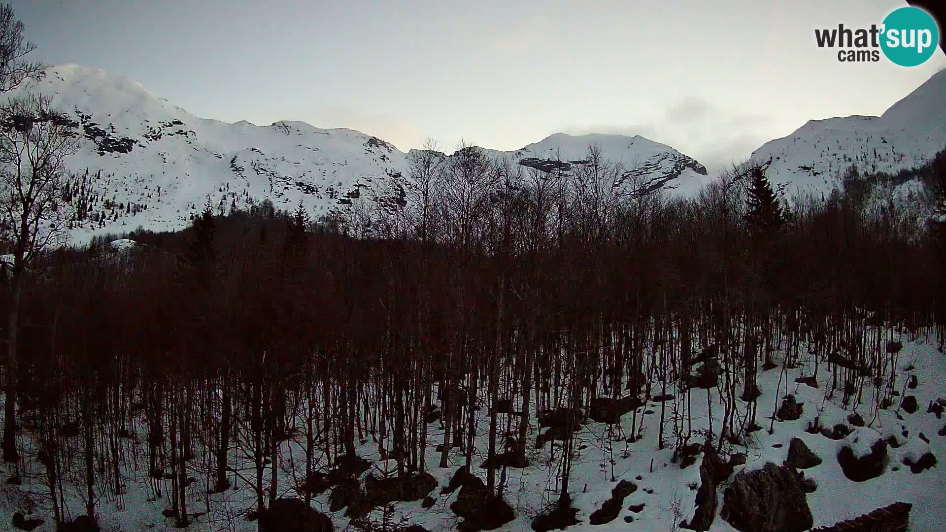 Webcam PLANINA RAZOR (1315) | Blick auf Vogel und Globoko