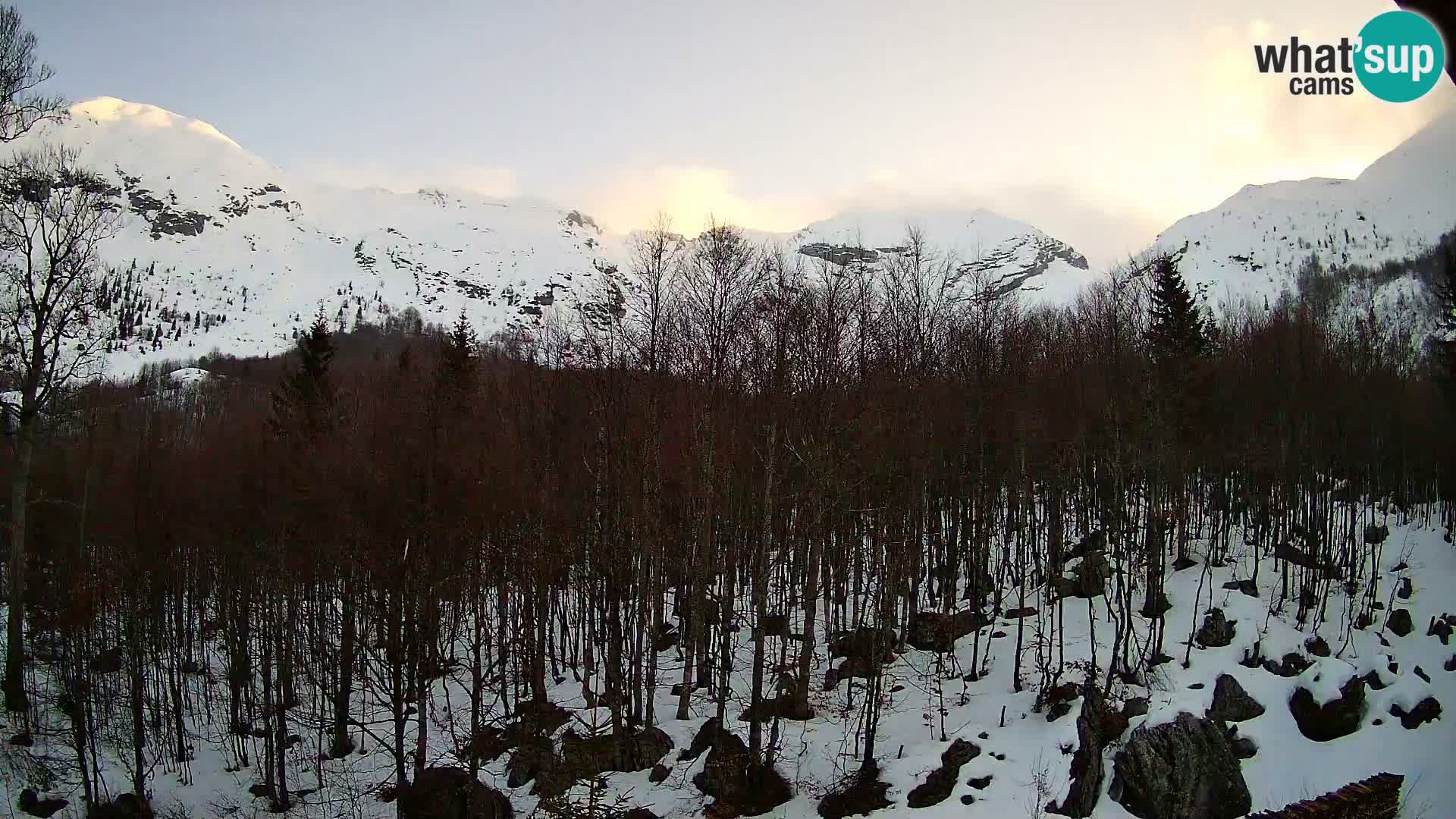 PLANINA RAZOR web kamera (1315) | pogled na Vogel i Globoko