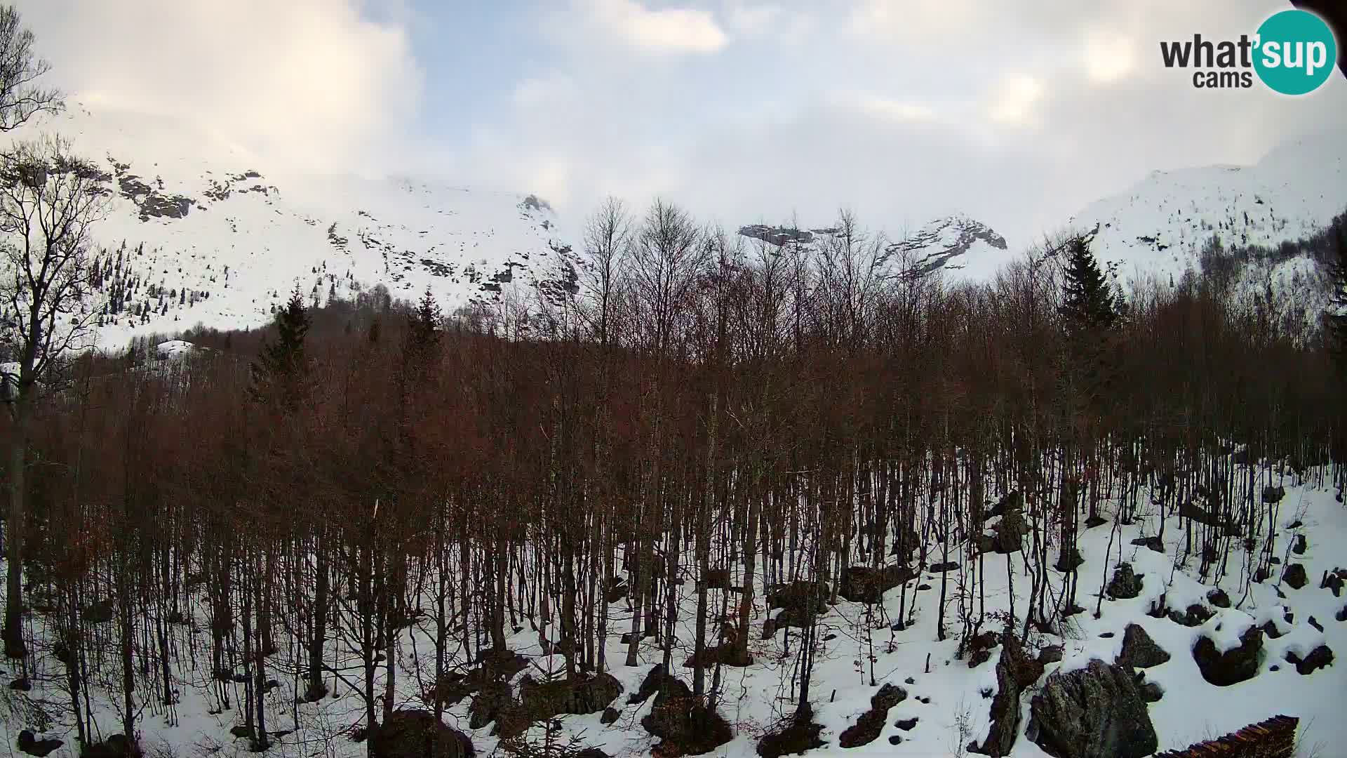 Webcam PLANINA RAZOR (1315) | Blick auf Vogel und Globoko