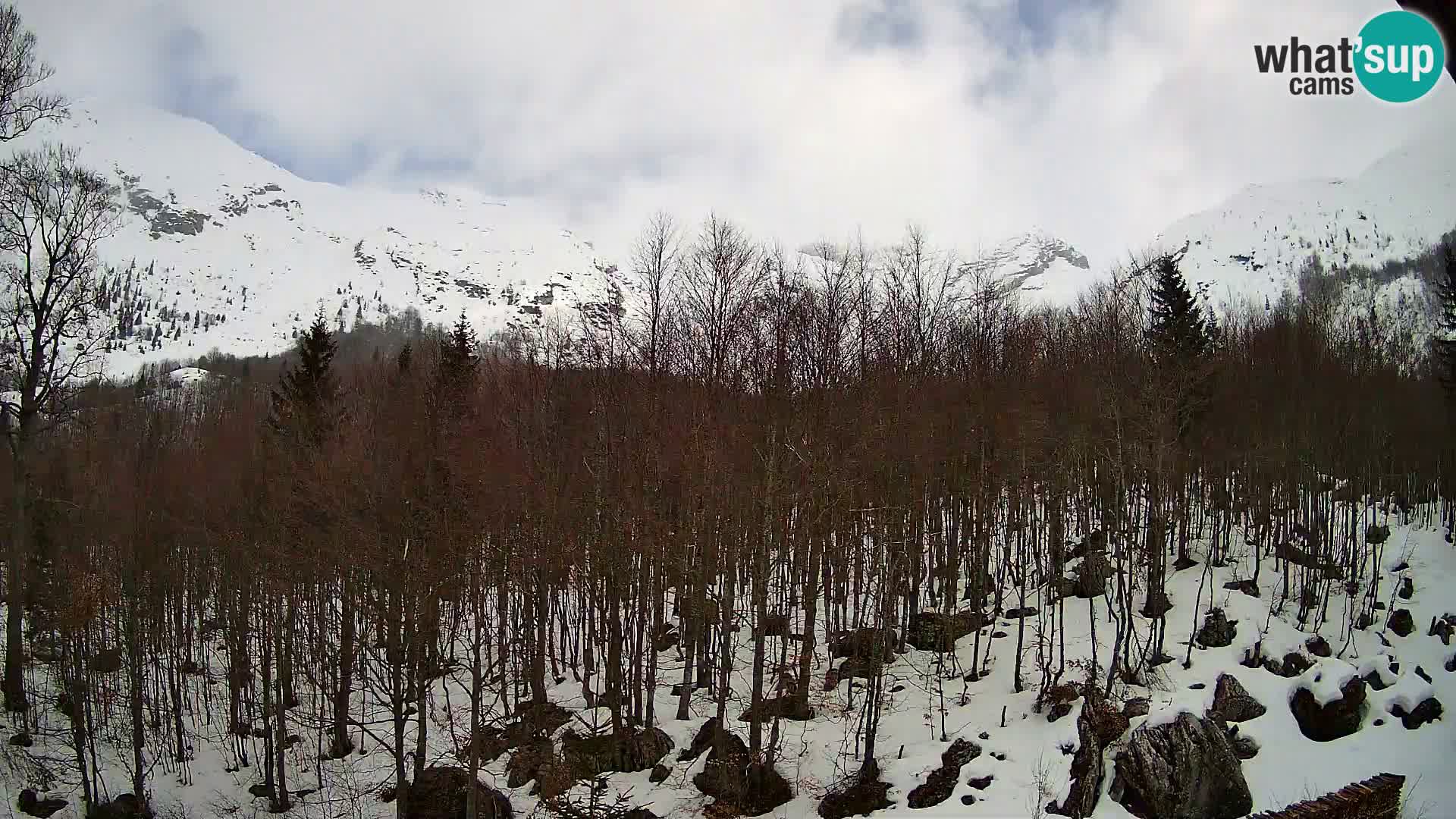 Cámara web PLANINA RAZOR (1315) | vista a Vogel y Globoko