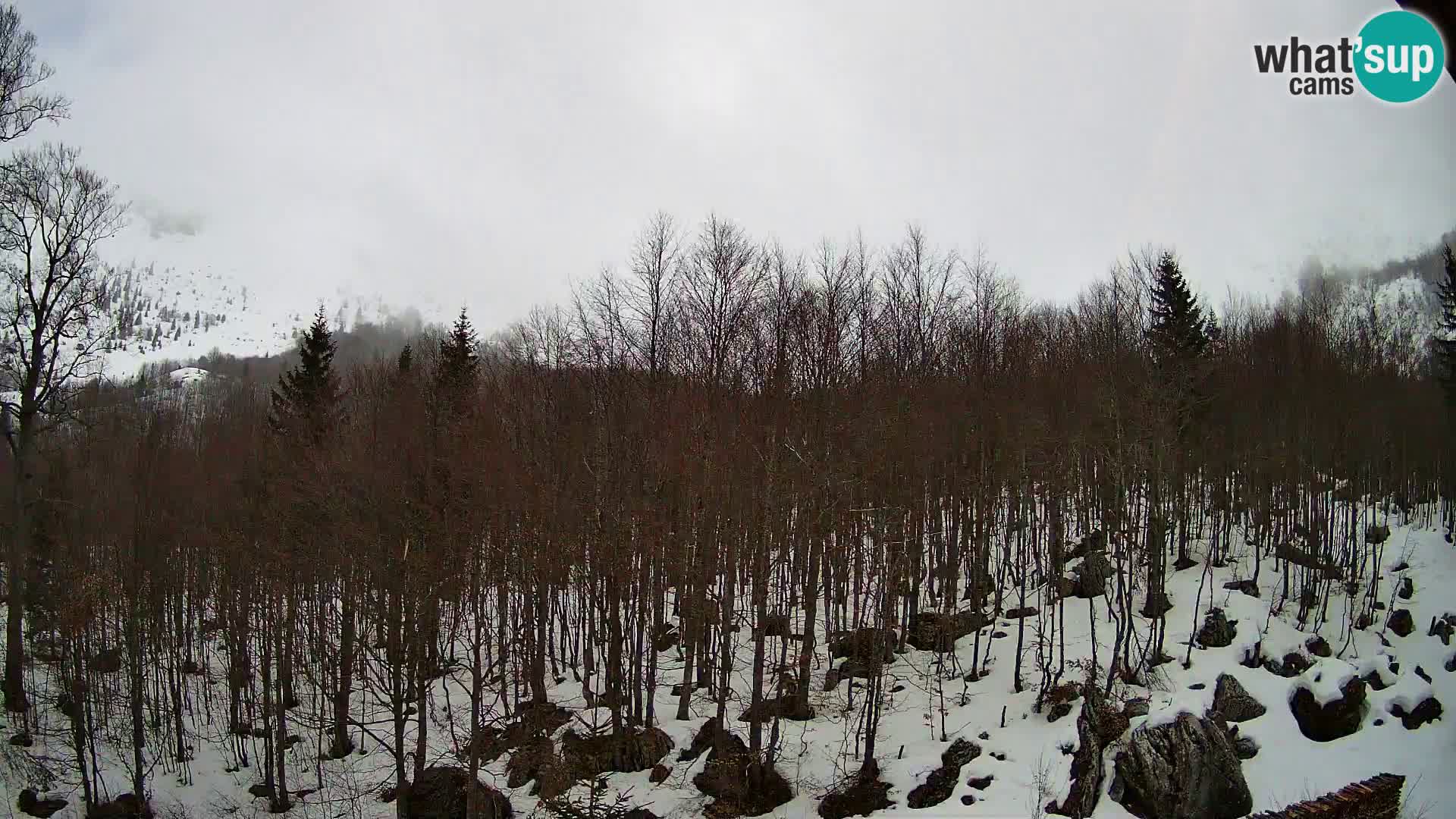 Cámara web PLANINA RAZOR (1315) | vista a Vogel y Globoko