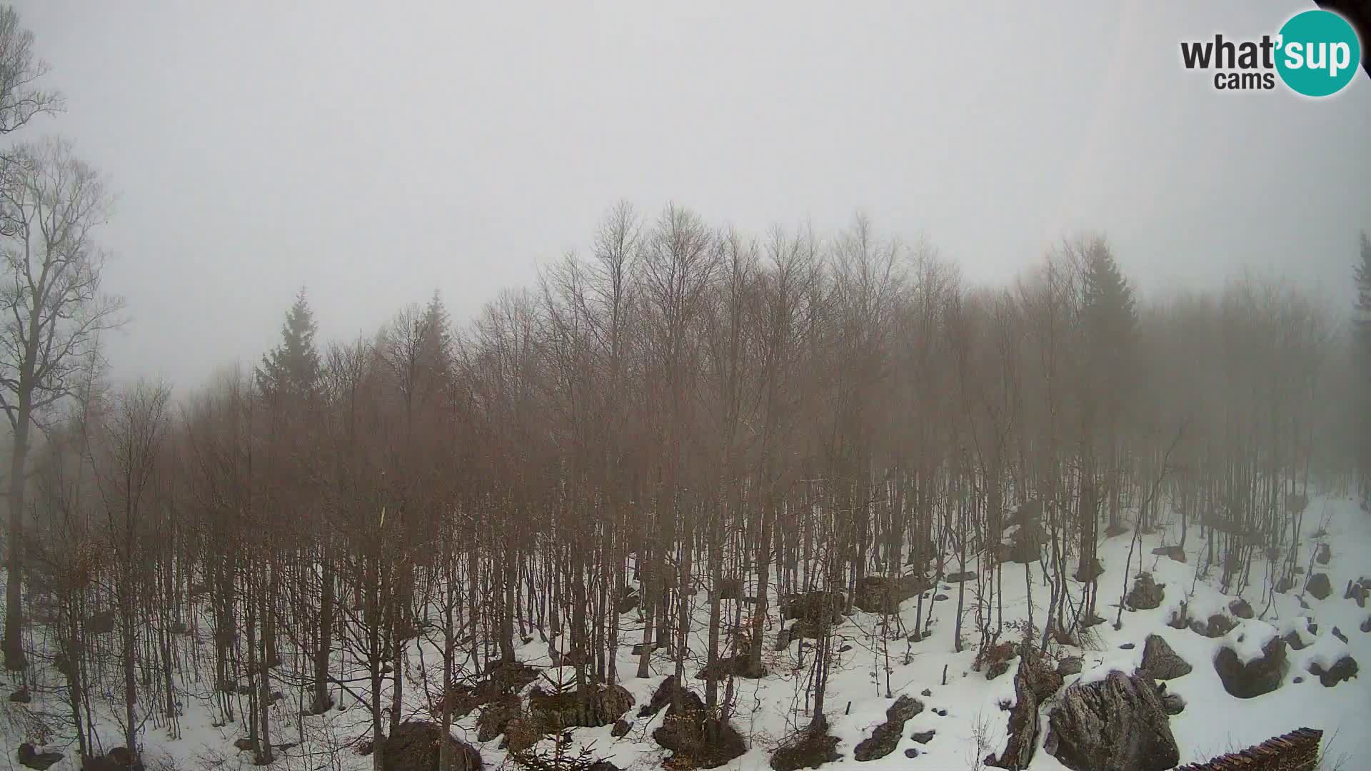 Cámara web PLANINA RAZOR (1315) | vista a Vogel y Globoko