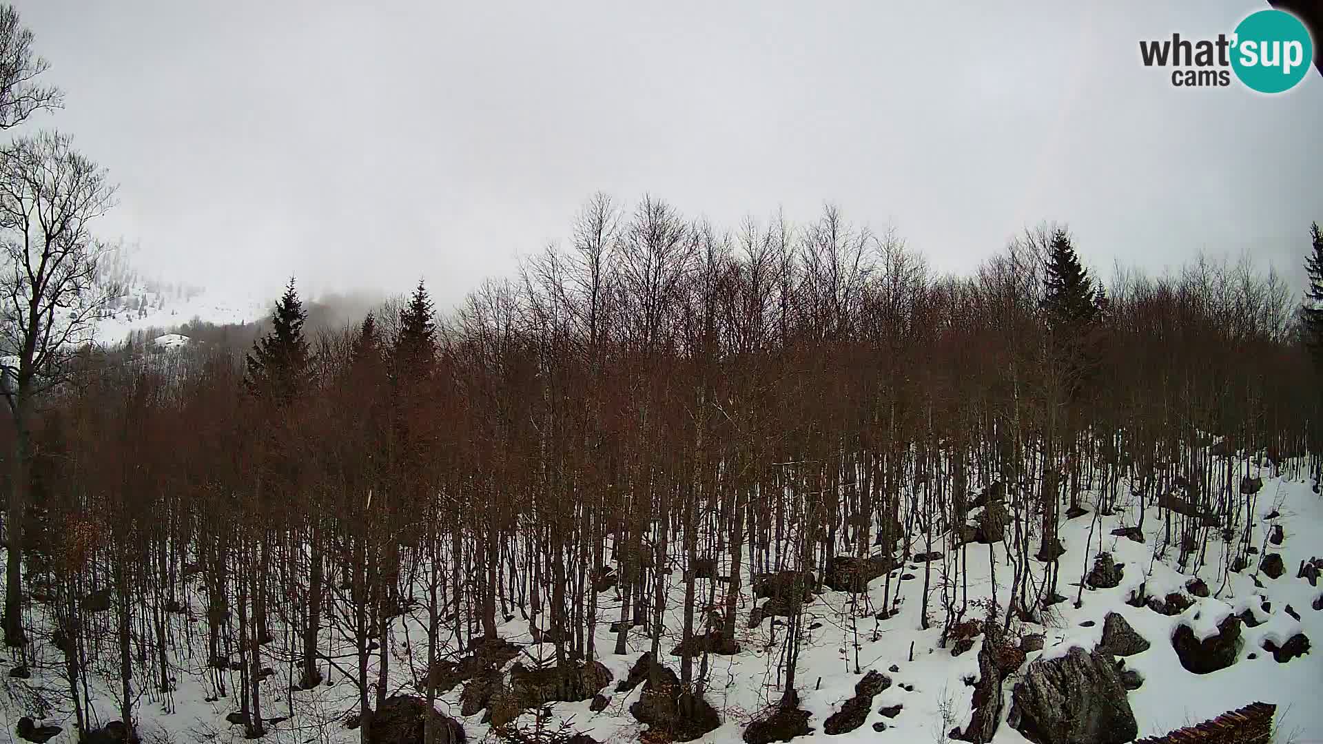 PLANINA RAZOR Live Cam (1315) | vista su Vogel e Globoko