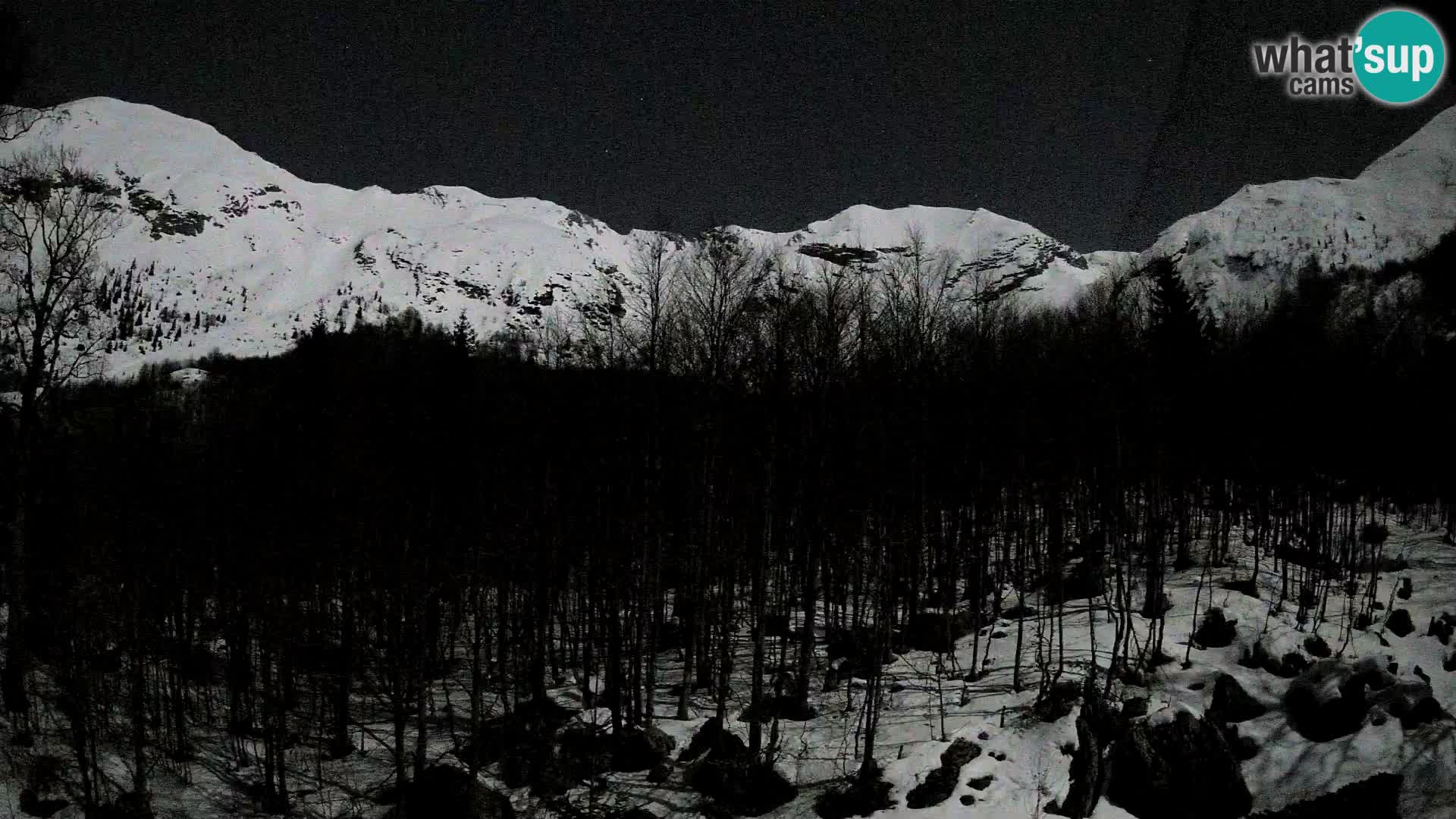 Cámara web PLANINA RAZOR (1315) | vista a Vogel y Globoko