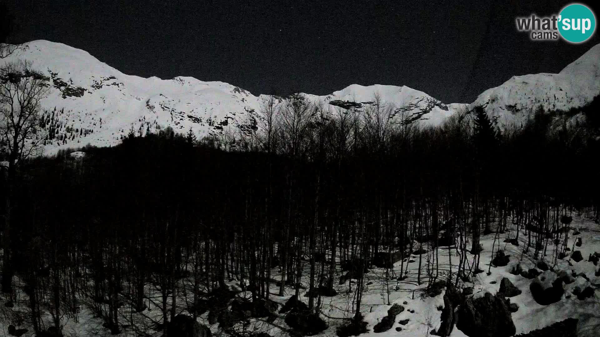 PLANINA RAZOR webcam (1315) | view to Vogel and Globoko