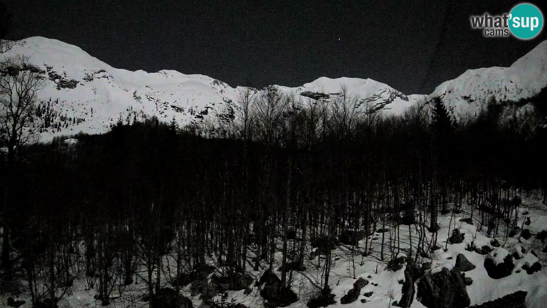 Livecam PLANINA RAZOR (1315) | vue sur Vogel et Globoko