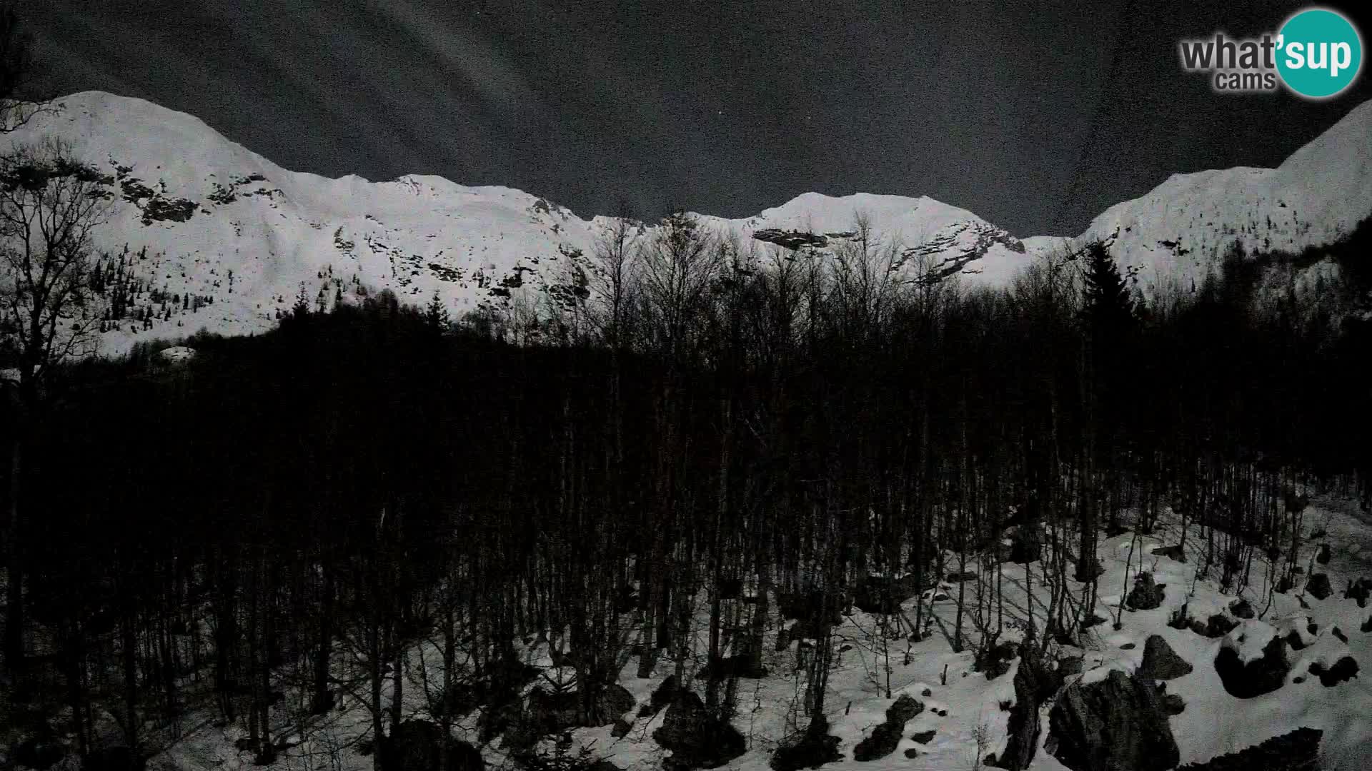 Livecam PLANINA RAZOR (1315) | vue sur Vogel et Globoko
