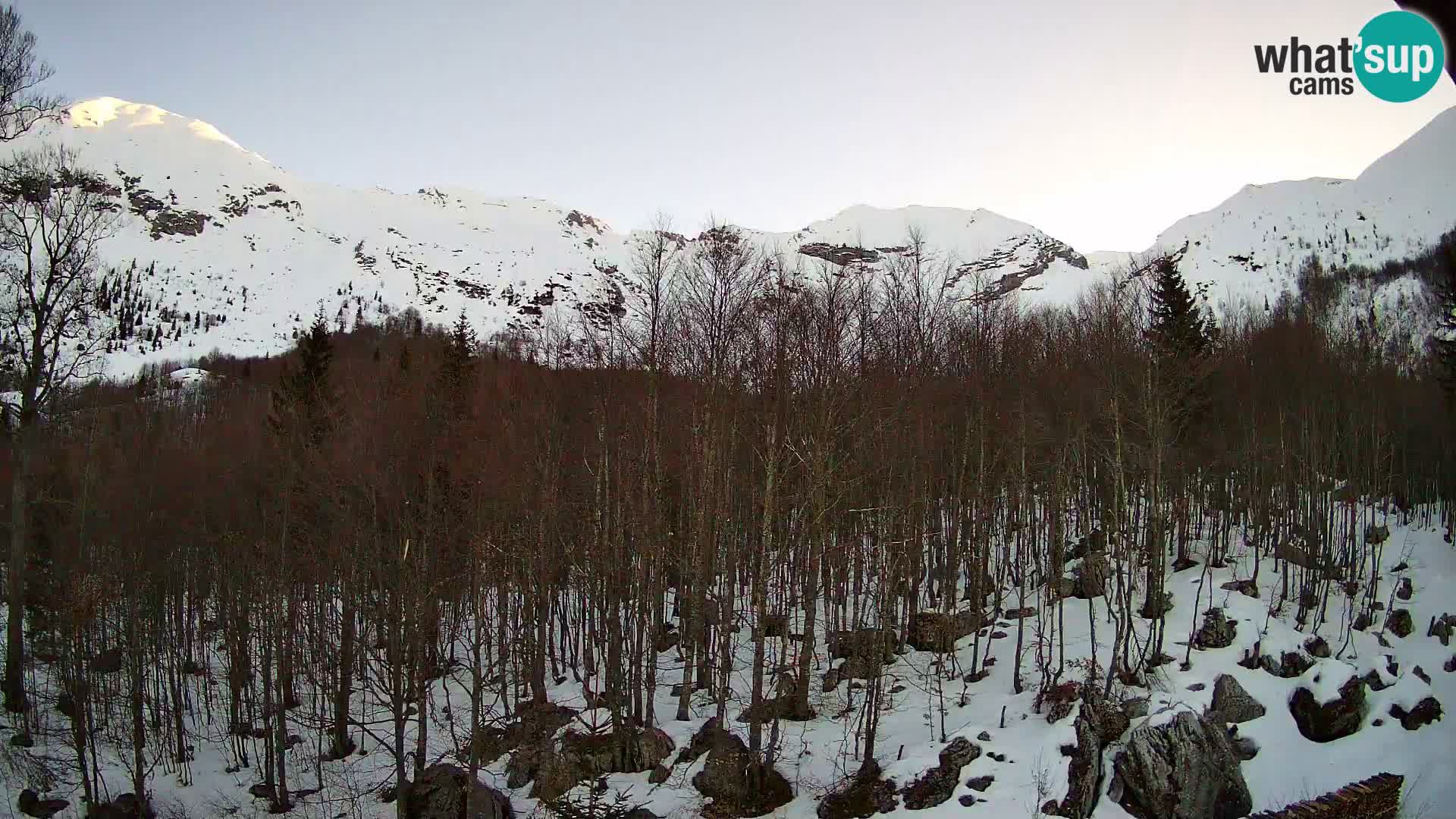 PLANINA RAZOR webcam (1315) | view to Vogel and Globoko