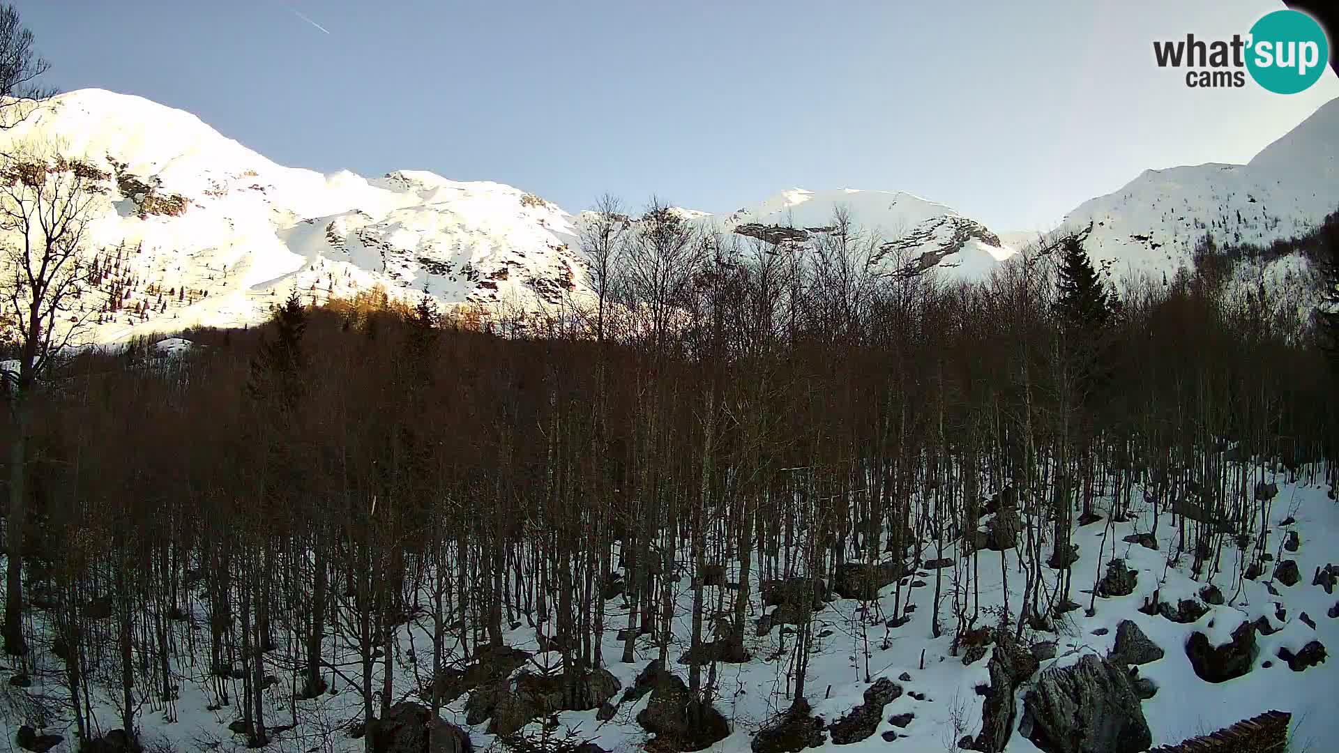 Livecam PLANINA RAZOR (1315) | vue sur Vogel et Globoko