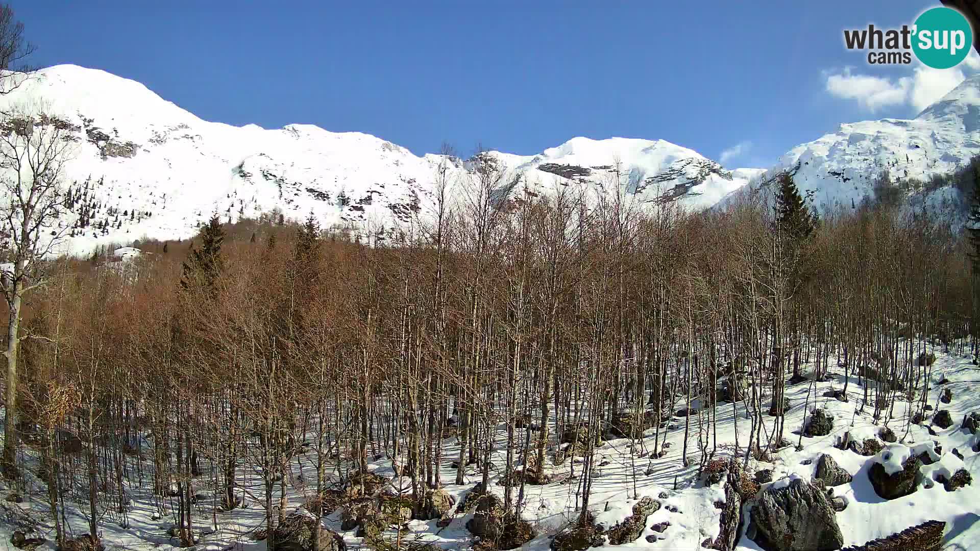 Livecam PLANINA RAZOR (1315) | vue sur Vogel et Globoko