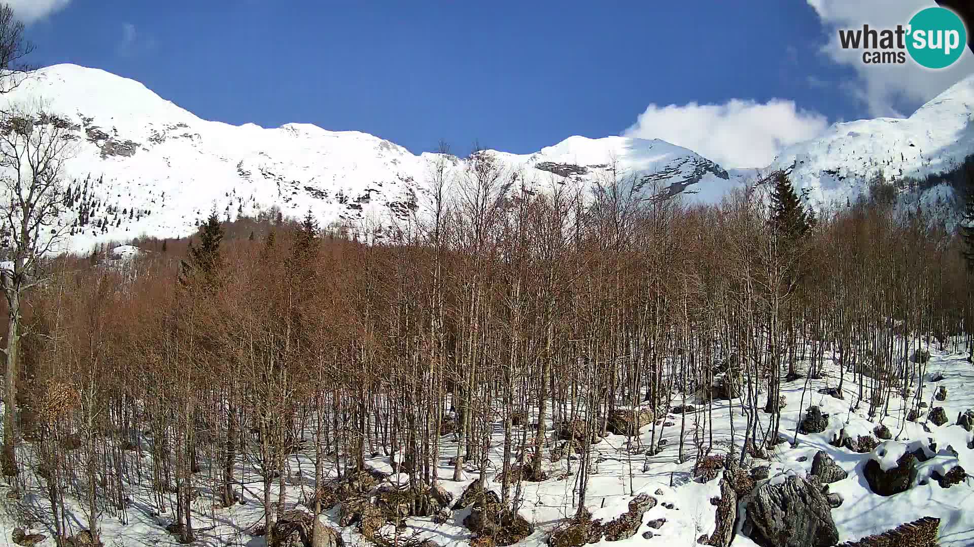 PLANINA RAZOR web kamera (1315) | pogled na Vogel i Globoko