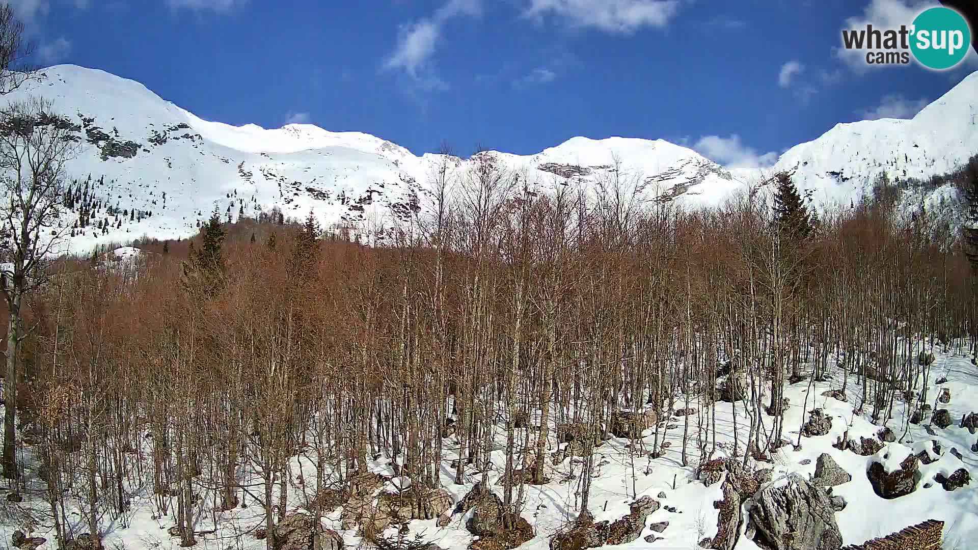 PLANINA RAZOR webcam (1315) | view to Vogel and Globoko