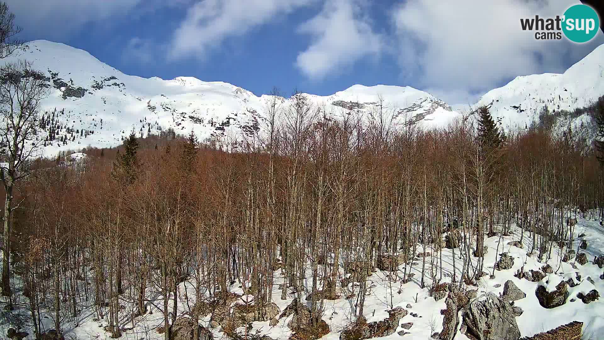PLANINA RAZOR webcam (1315) | view to Vogel and Globoko