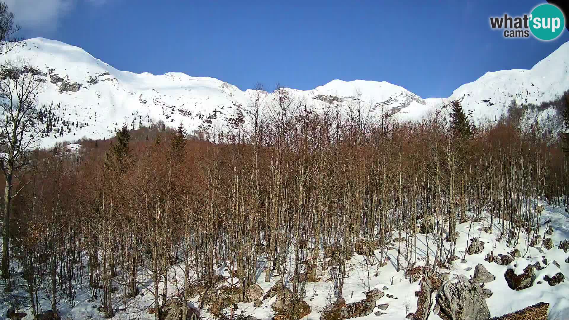 PLANINA RAZOR webcam (1315) | view to Vogel and Globoko