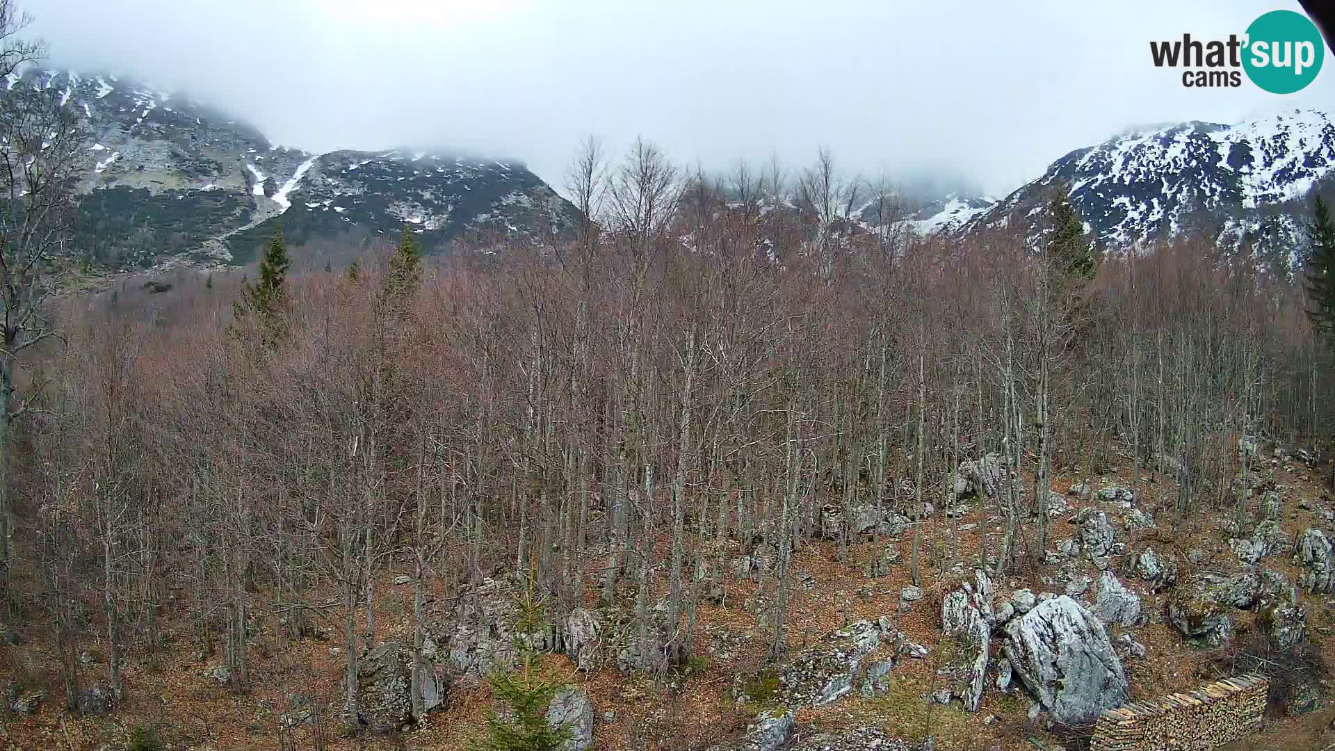 Livecam PLANINA RAZOR (1315) | vue sur Vogel et Globoko