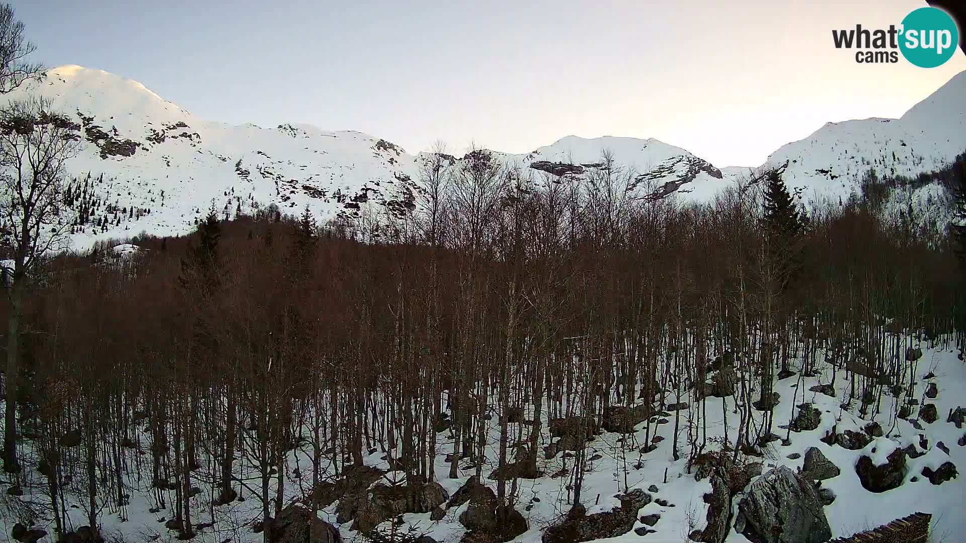 PLANINA RAZOR web kamera (1315) | pogled na Vogel i Globoko