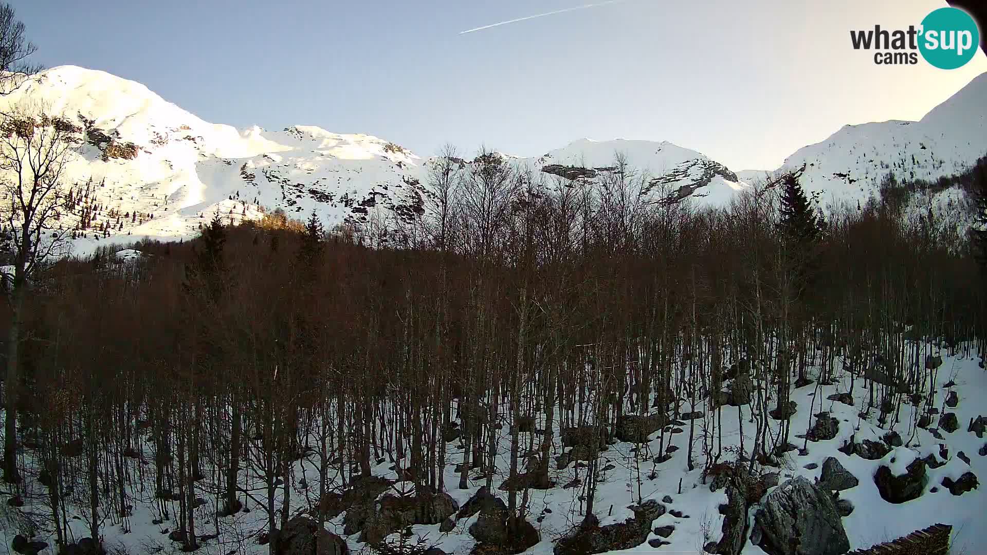 PLANINA RAZOR web kamera (1315) | pogled na Vogel i Globoko